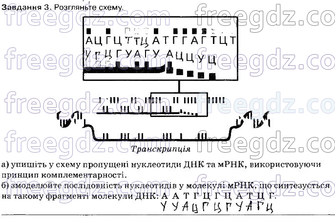 ст51завд3