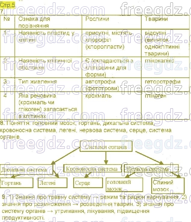 ст5