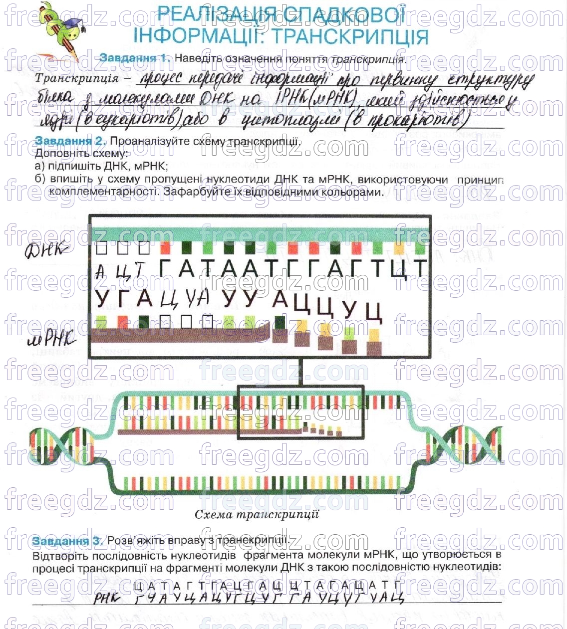 стор51