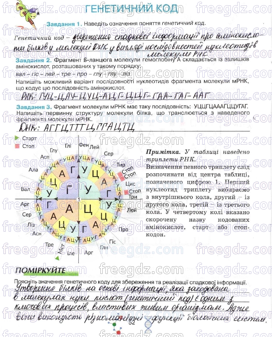 стор52