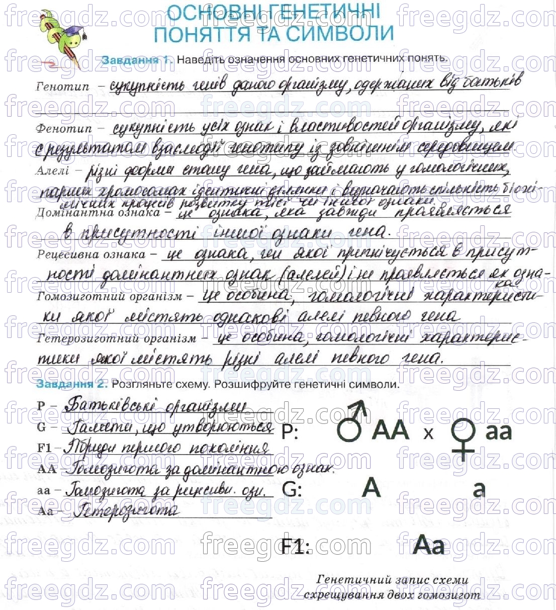 стор54