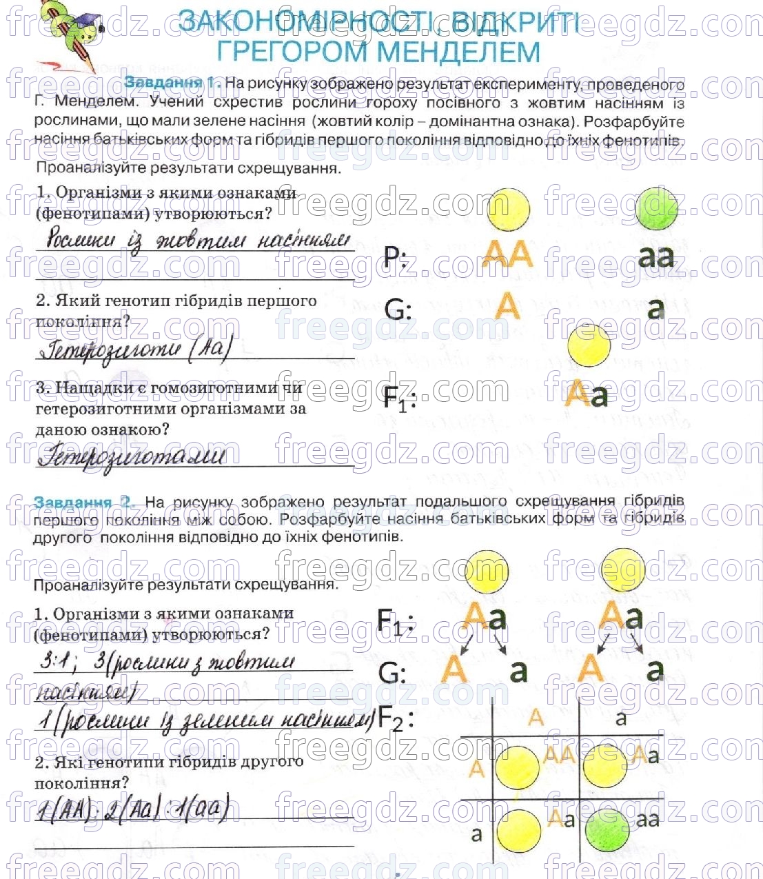 стор55