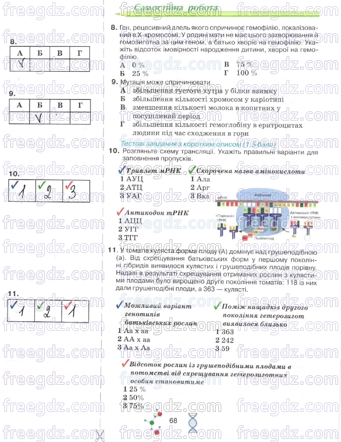 стор68