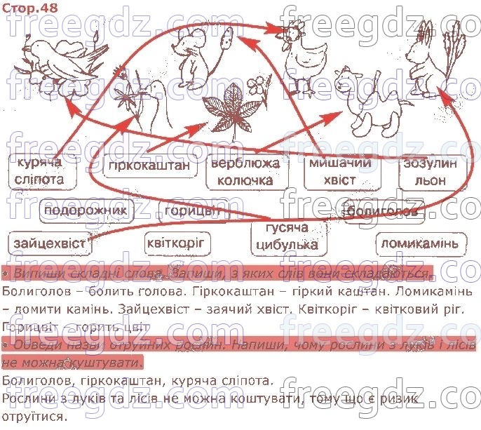 стор48